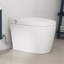 Piedmont Elongated One-Piece Toilet with Heated Seat, Seat & Foot Sensor, Auto & Blackout Flush, Night Light (No Bidet Function)
