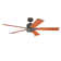 Bona 60'' Ceiling Fan
