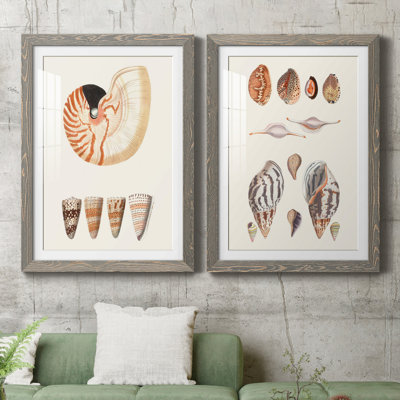 Toile encadrée IP Shell de la collection Shell - prête à être accrochée