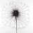Dandelion - 32"x32" art on canvas