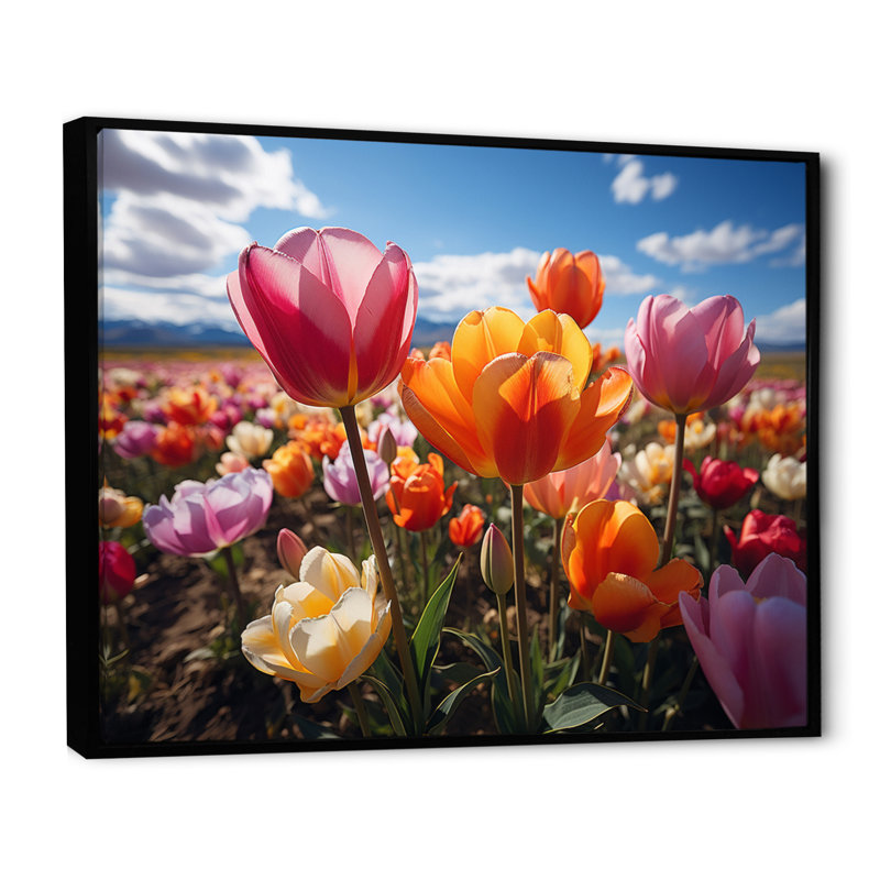 Tulipes «Fields of Color IV», reproduction sur toile, H 24 po x l 32 po x P 1 po, Cadre flottant noir