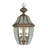 Outdoor Pendant Lighting Fixture with Clear Glass Shade-101231171