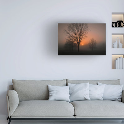 Bolog Wei Dai Awakening Canvas Art