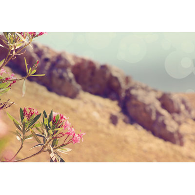 Flowers In Paradise I by Sylvia Coomes - Wrapped Canvas Print