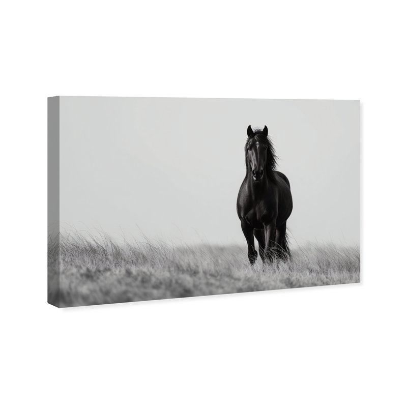 Lone Stallion I Print by Oliver Gal, 10" H x 15" W, Gallery Wrapped