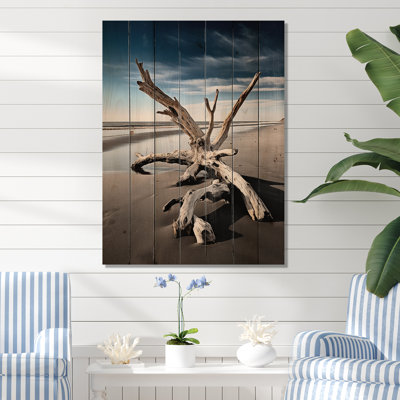 " Beach Driftwood Photo I "