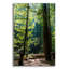 «Trees 3» par Epic Portfolio, art mural en verre acrylique-969352246