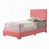 Rose n'est pas disponible