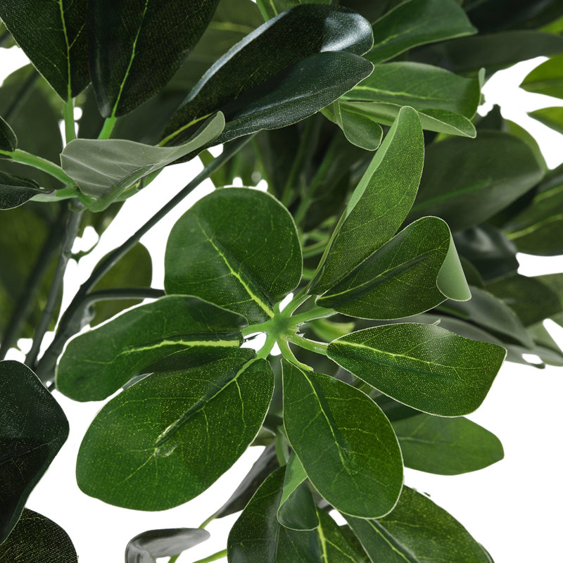 Burkitt 122cm Plant: Lifelike & Zero Maintenance