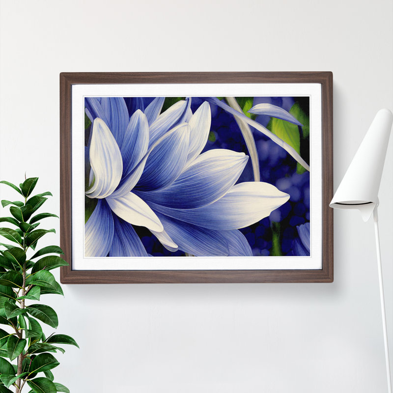A Wild Flower - Framed Print, 34cm H x 46cm W x 2cm D, Walnut
