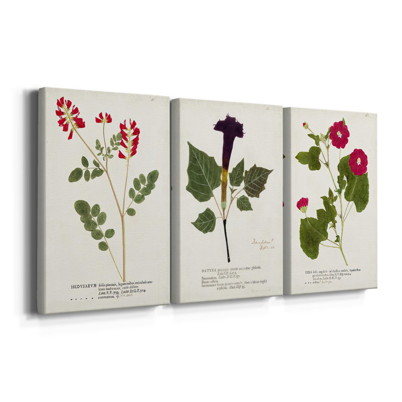 Nature imprimé Botanicals III - toile tendue sur mesure - 3 pièces, H 18 po x l 36 po