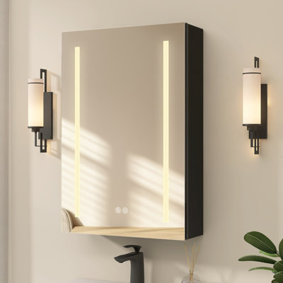 Pharmacie éclairée à DEL sans cadre avec miroir et 2 tablettes réglables Z 20 po x H 29,5 po Zadin