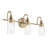 23" 3-Light Vanity Light with Clear Glass-108202098