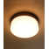 Devontra LED Flush Mount