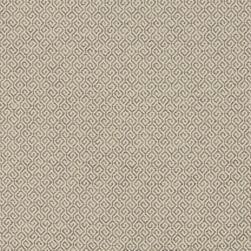 Epicurean Mottled Maze Fabric, Truffle