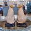Porcelain Dog Figurines Pair