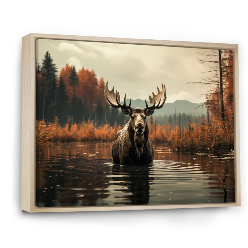 «Brown Orange Moose Autumn Palette», reproduction d'art sur toile, H 12 po x l 20 po, Cadre naturel flottant