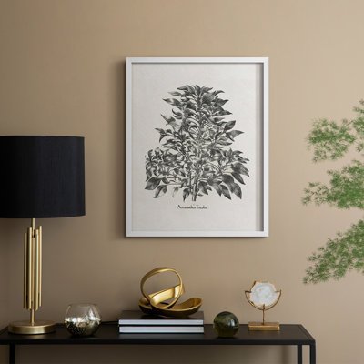 Vintage Floral Print CCCXXXII Framed Print - Solid Wood