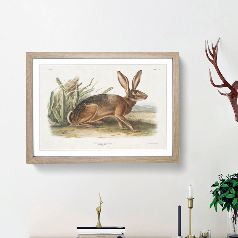 Californian Hare by J.W. Audubon - Picture Frame Painting Print, Oak Framed, 36cm H x 48cm W x 2cm D