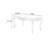 Luxury Rectangular Carved Dining Table