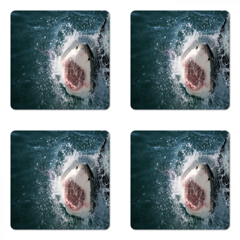 Sous-verre requin