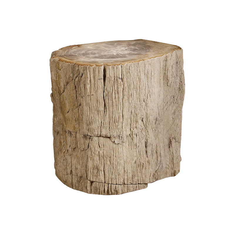 Petrified Solid Wood End Table