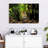 Brampt Belize Jungle Jaguar-107849459