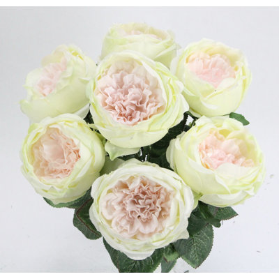 Buisson de roses en pleine floraison