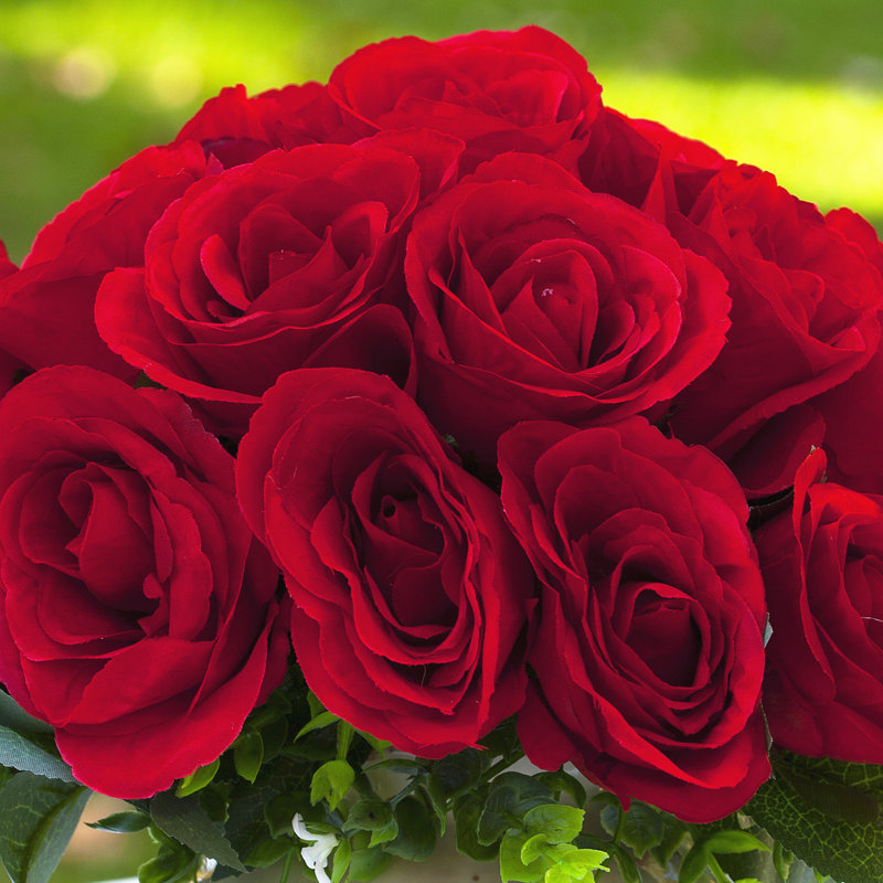 Rose, Rouge