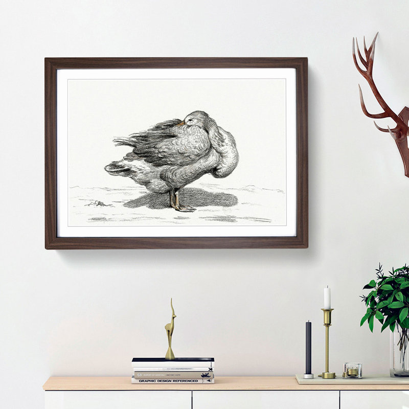 Goose by Jean Bernard - Picture Frame Drawing Print, 36cm H x 48cm W x 2cm D, Walnut Framed