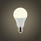 E27 LED Light Bulb