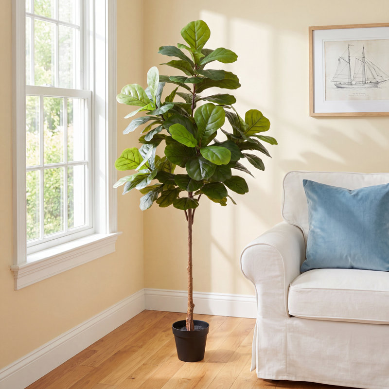 Weatherhill Elspeth Fiddle Leaf Fig Tree Drop-In