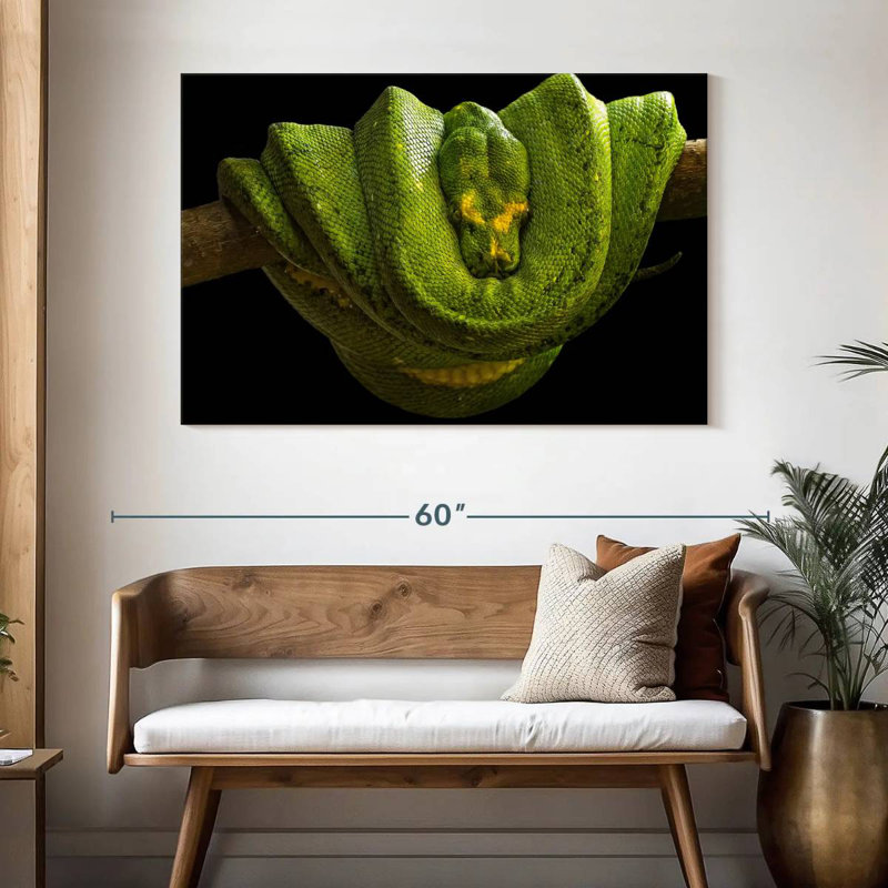 Green Boa Constrictor, 32" H x 48" W
