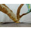 Coussin décoratif Embroide floral-1709526810-1709526811