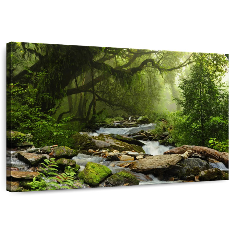 Alvord Nepal Rainforest, 8" H x 12" W