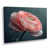 Wrapped Canvas