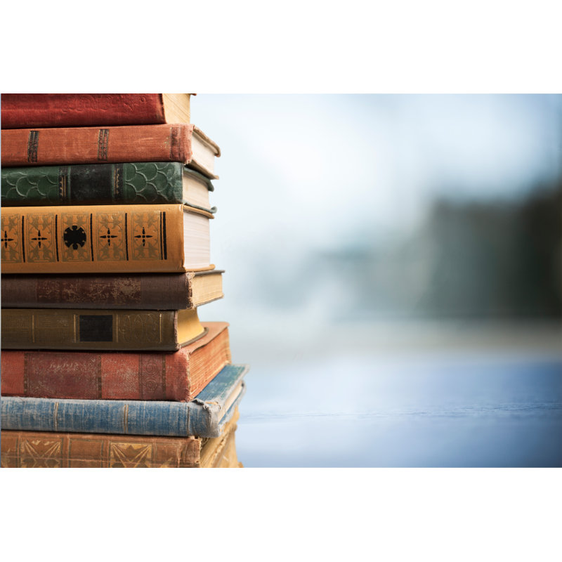 Books Heap - Wrapped Canvas Print, 81cm H x 122cm W x 3.8cm D