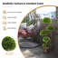 35,5 plante