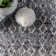 Aticus Indoor Rug