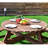 Brinkerhoff 70.5 " W Fir Solid Wood Outdoor Picnic Bench