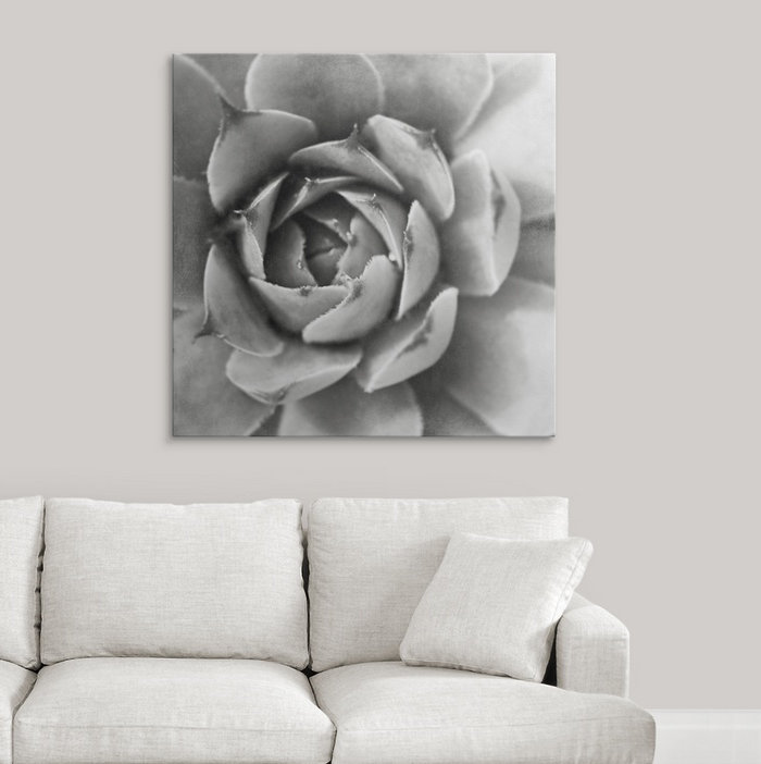 « ii » par laura marshall, reproduction de photo Garden Succulent, H 35 po x l 35 po x P 1,5 po, Toile