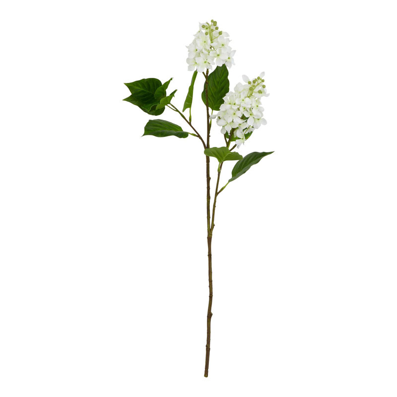 Anastasija Arrangement, White