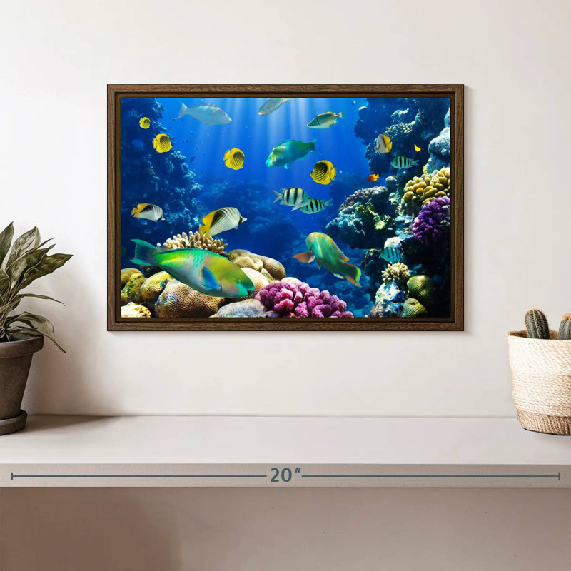 Underwater Sea Creatures, 13" X 9", Floating Frame Walnut