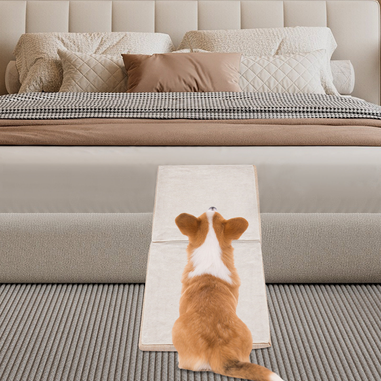 Ebern Designs Folding Split Dog Ramp, 2 In 1 Lightweight Folding Pet ...