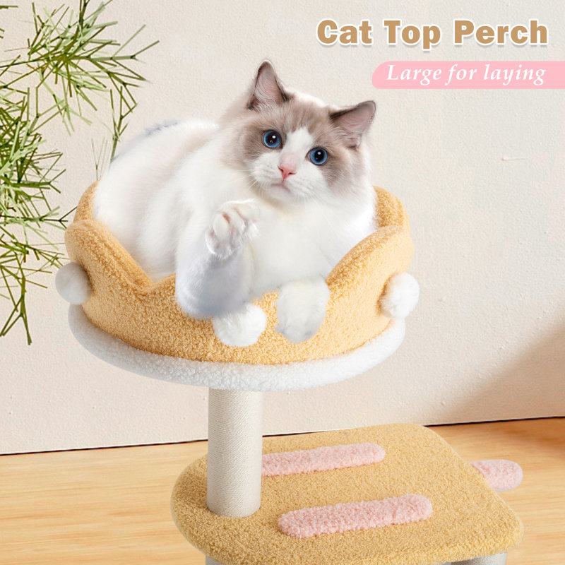 Shellman 104cm H Cat Tree