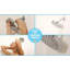Pomme de douche réglable 2,5 GPM GPM-101947412