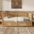 Full Size Traditional Style Rattan Daybed with 2 Drawers | For Limited Space/Guest Room, No Box Spring Needed, Antique Walnut-1205586261-1205586258-1205586257