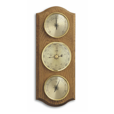 Citronelle 27.5cm Weather Station