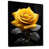 Black Floater Framed