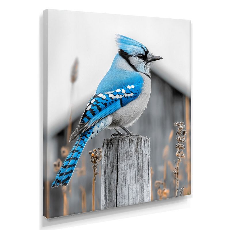 Enfield - Animals Canvas Art Print, 32" H x 16" W, Wrapped Canvas, Does Not Apply